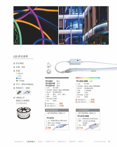 2020 LED 户外照明 光景 [天眼光源TIEN YEN] 第 9 页