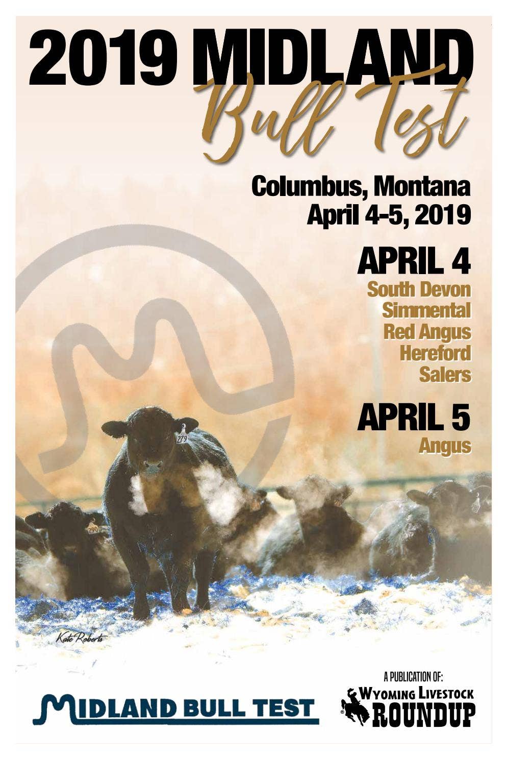 2019 Midland Bull Test Edition by Wyoming Livestock Roundup Issuu