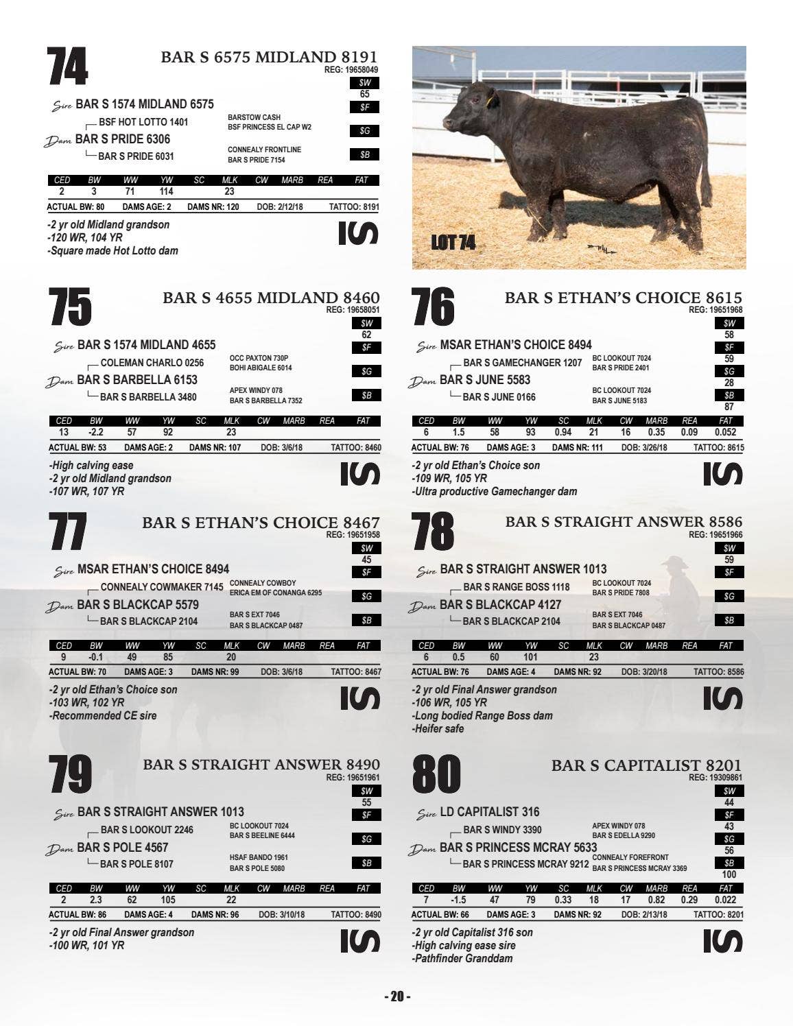 Bar S Ranch - 2020 Sale Catalog by LivestockDirect - Issuu