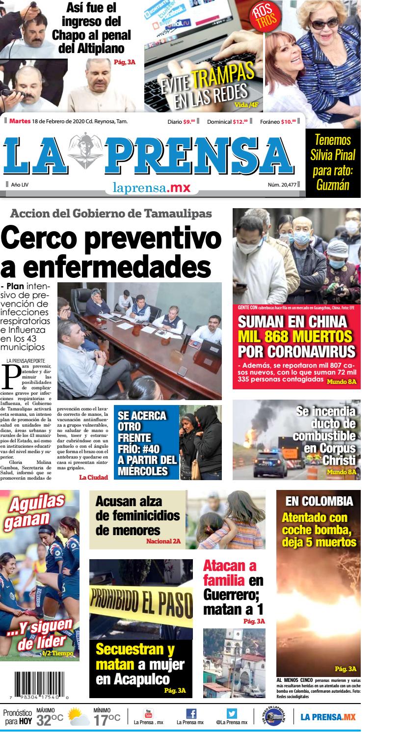 plan de acción escocés para la diabetes 2020 ram