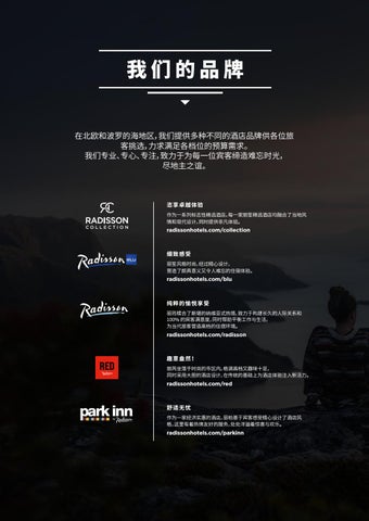 Creative Service Desk Radisson 酒店 Group leisure 家具手册 - Nordics × Baltics ( 中国 ) 第 6 页
