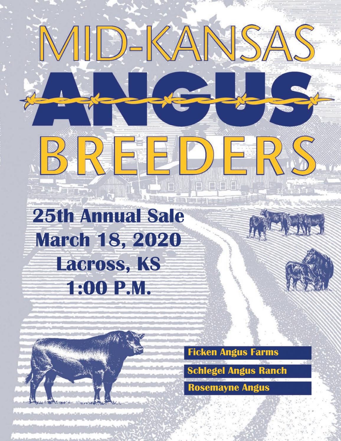 MidKansas Angus Breeders 2020 Bull Sale Catalog by LivestockDirect