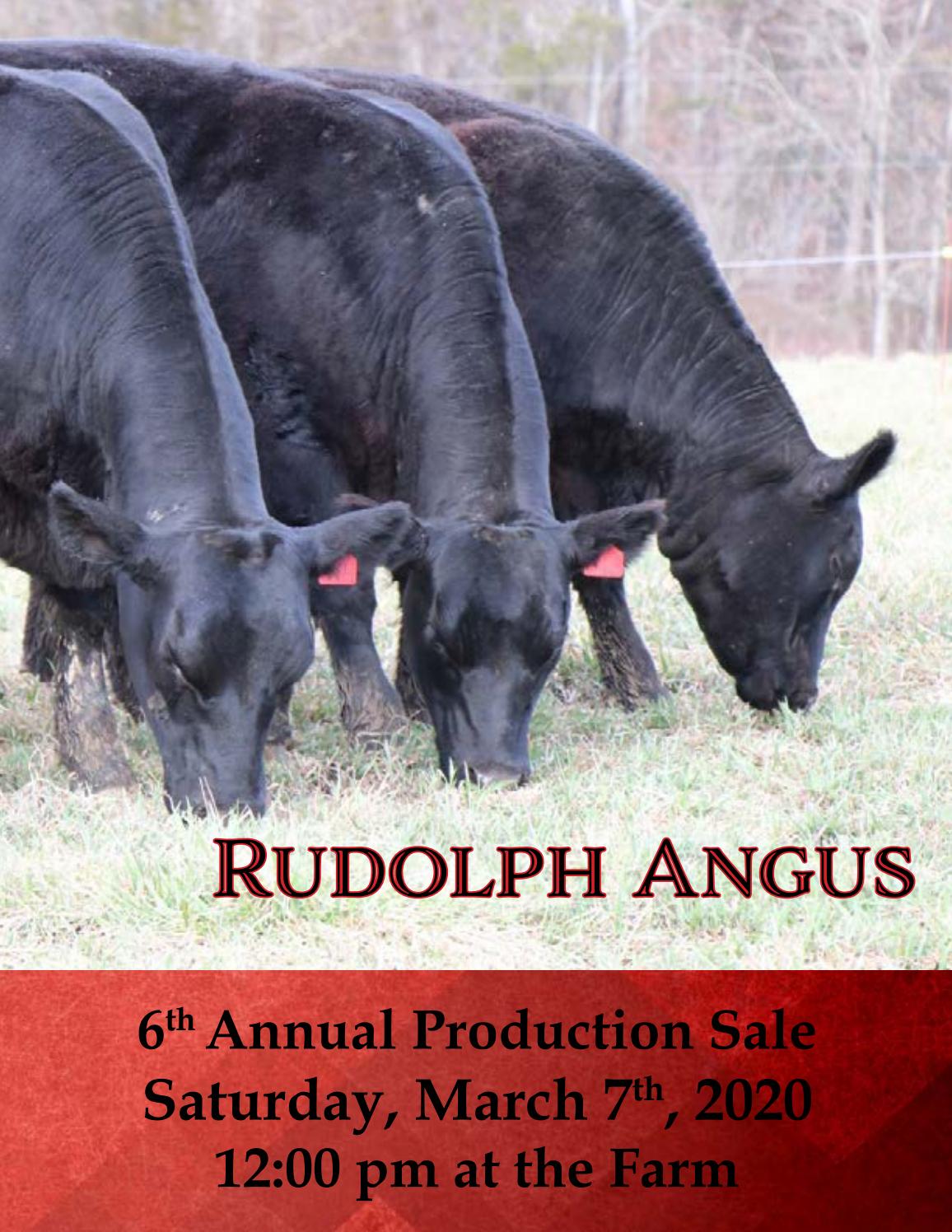 Rudolph Angus 6th Annual Bull Sale by Jaclyn Cleaver - Issuu