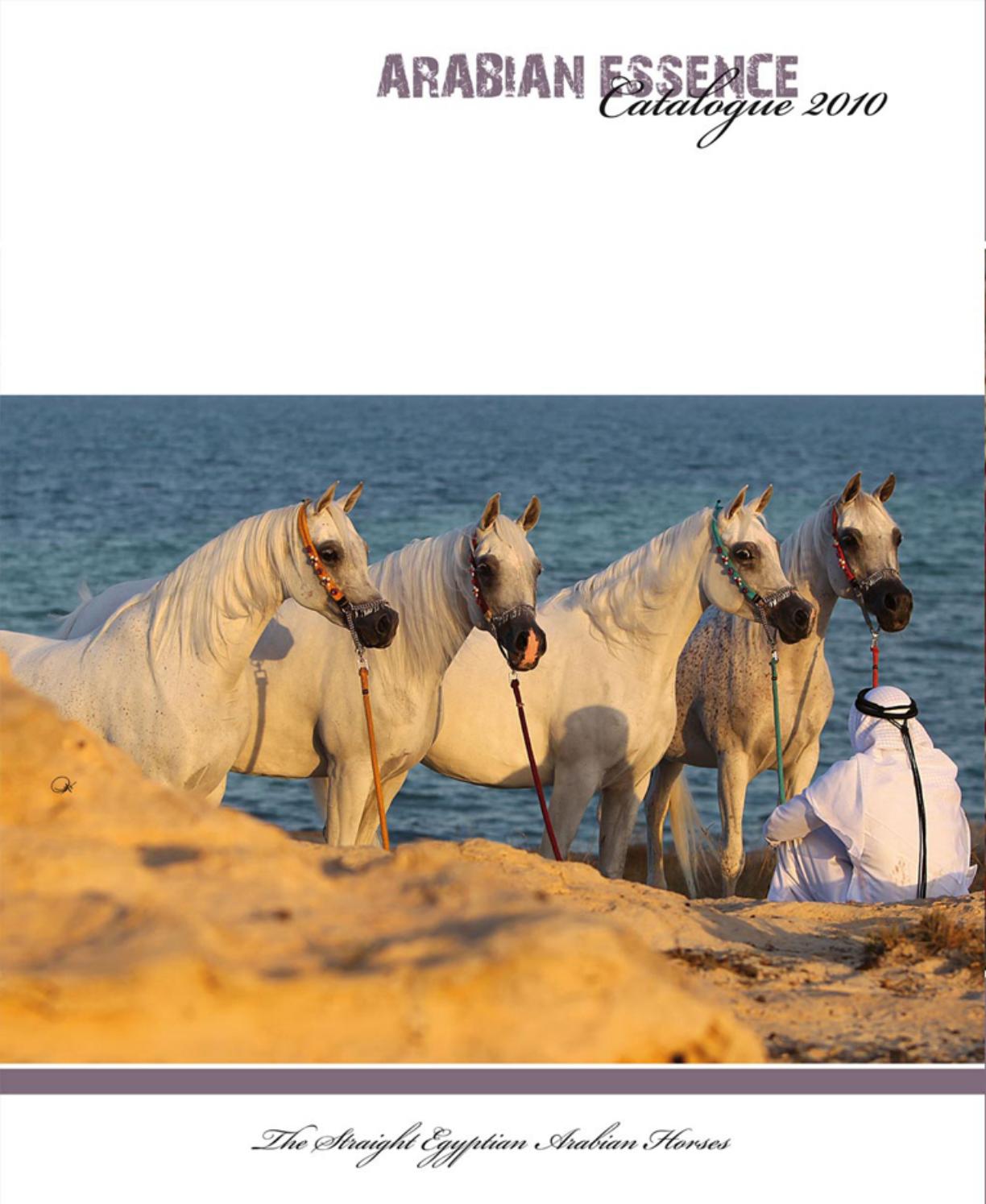 Straight Egyptian Catalogue 2010 by ARABIAN ESSENCE di Elvis Giughera