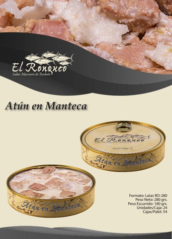 Pablo Pérez Rojas 灯饰目录 · Boceto Ronqueo 第 10 页