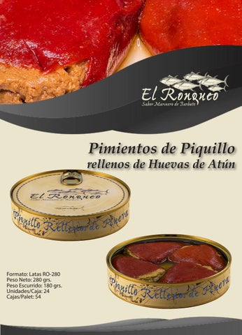 Pablo Pérez Rojas 灯饰目录 · Boceto Ronqueo 第 13 页