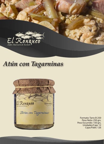 Pablo Pérez Rojas 灯饰目录 · Boceto Ronqueo 第 16 页