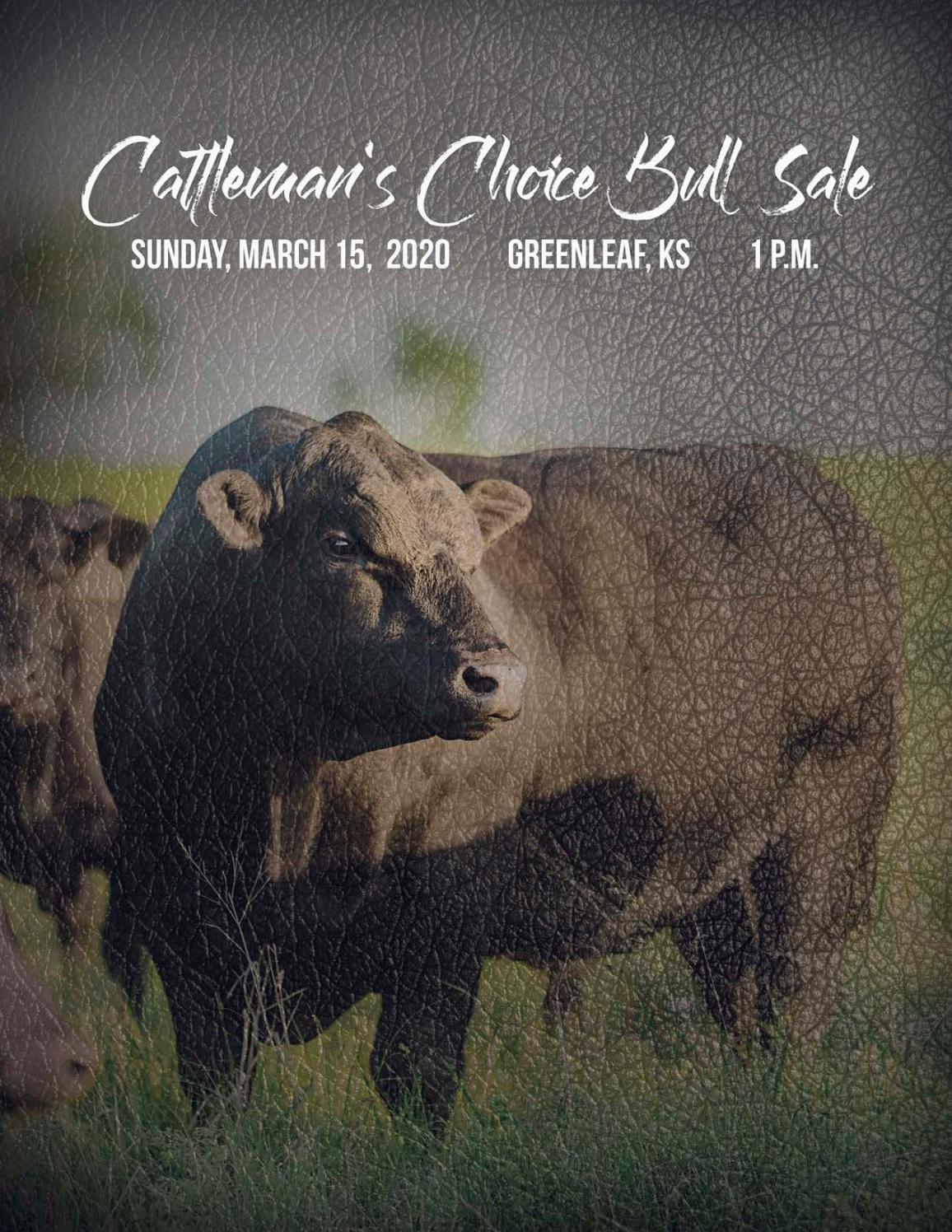 2020 Cattleman's Choice Bull Sale Catalog by LivestockDirect Issuu