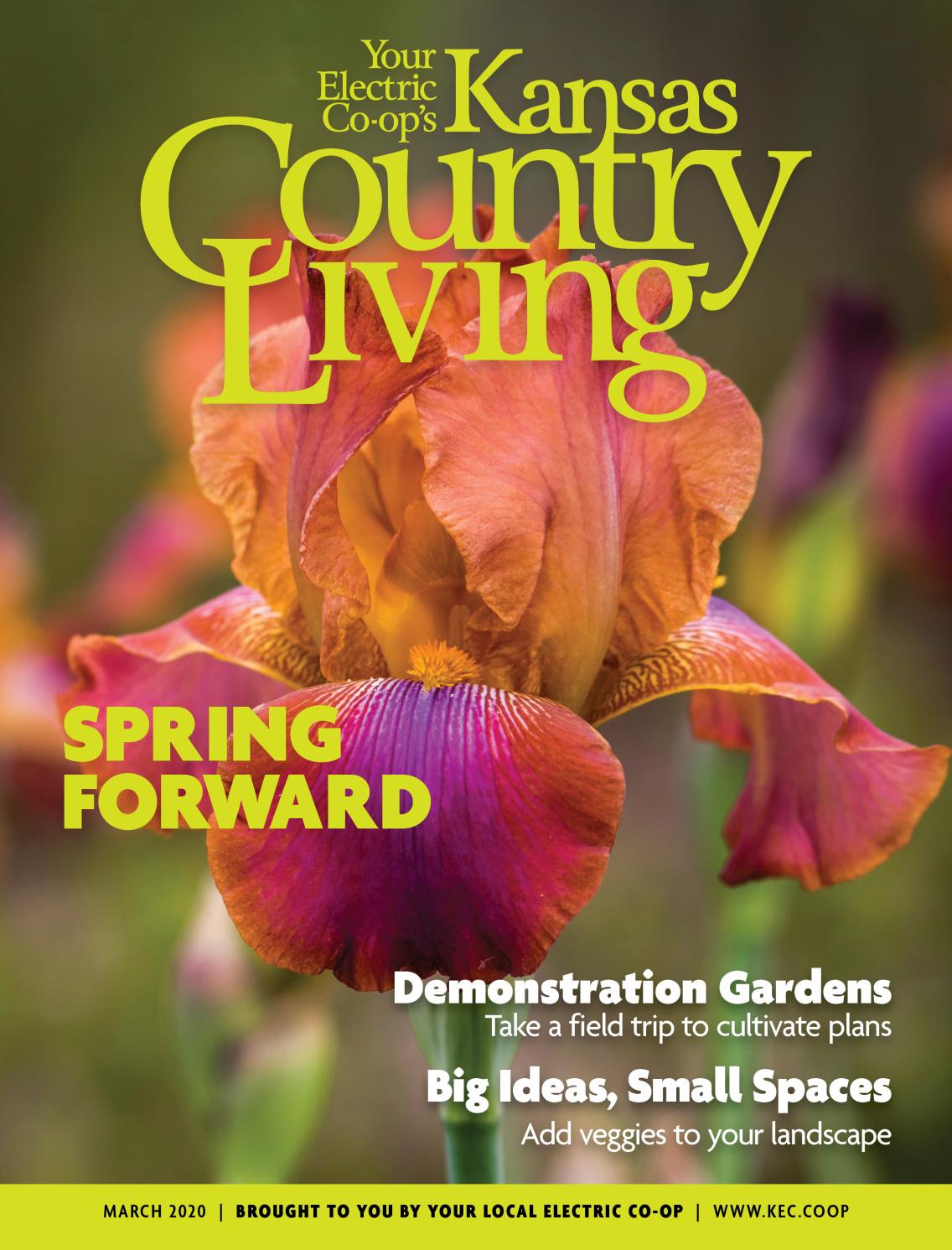 country living gardens on Kansas Country Living March 2020 By American Mainstreet Publications Issuu