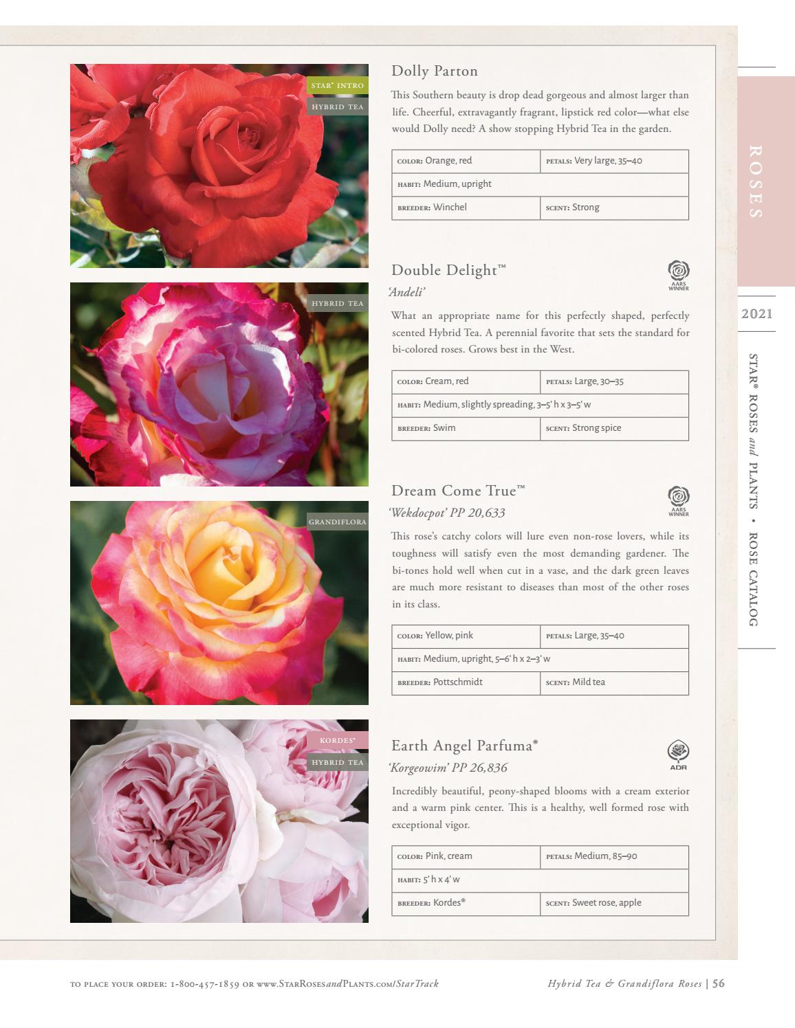 2021 Star® Roses and Plants Rose Catalog by Star® Roses and Plants Issuu