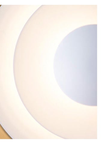 Belid 专业 灯饰目录 2020 第 5 页