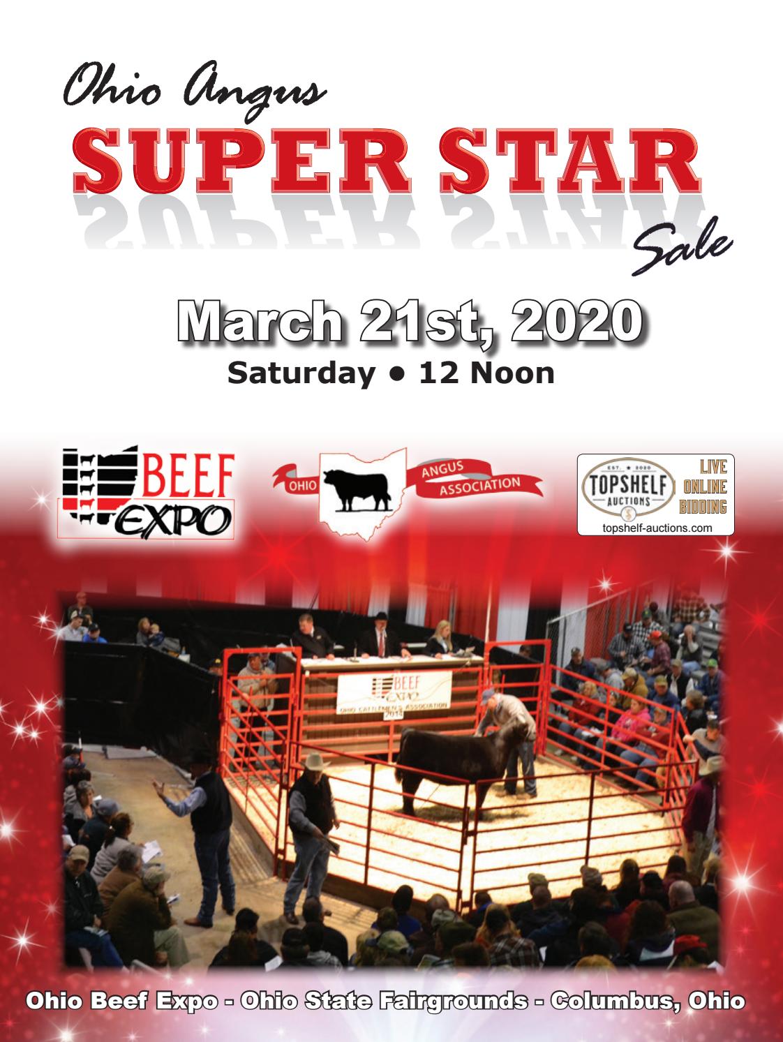 Ohio Beef Expo Angus Super Star Sale Catalog by Dan Wells Issuu