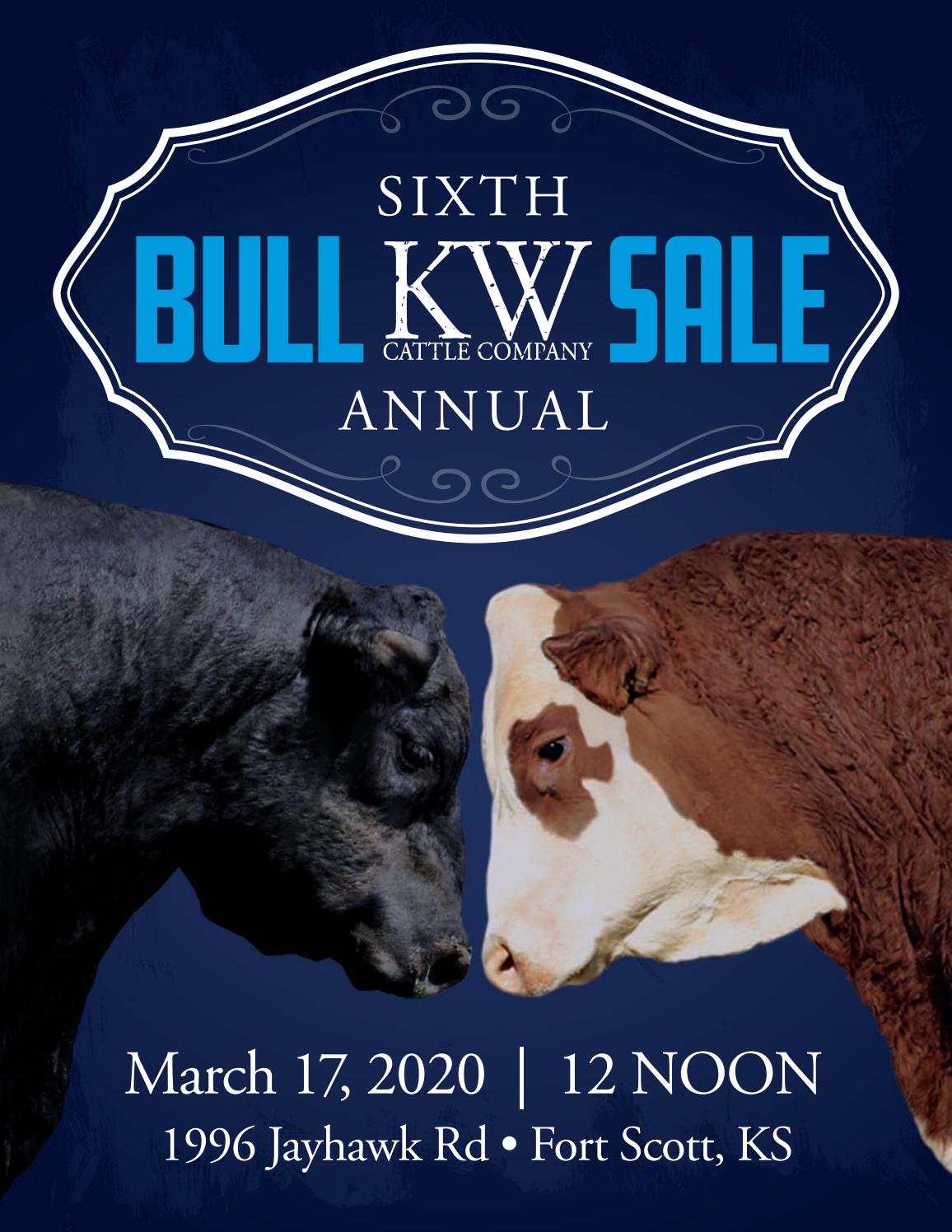 Kw Cattle Sale Catalog By Livestockdirect Issuu Kw Cattle Sale Catalog By Livestockdirect Issuu