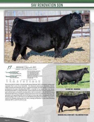 Brooking Angus Ranch 8th Annual Bull Sale by Bohrson Marketing Services ...