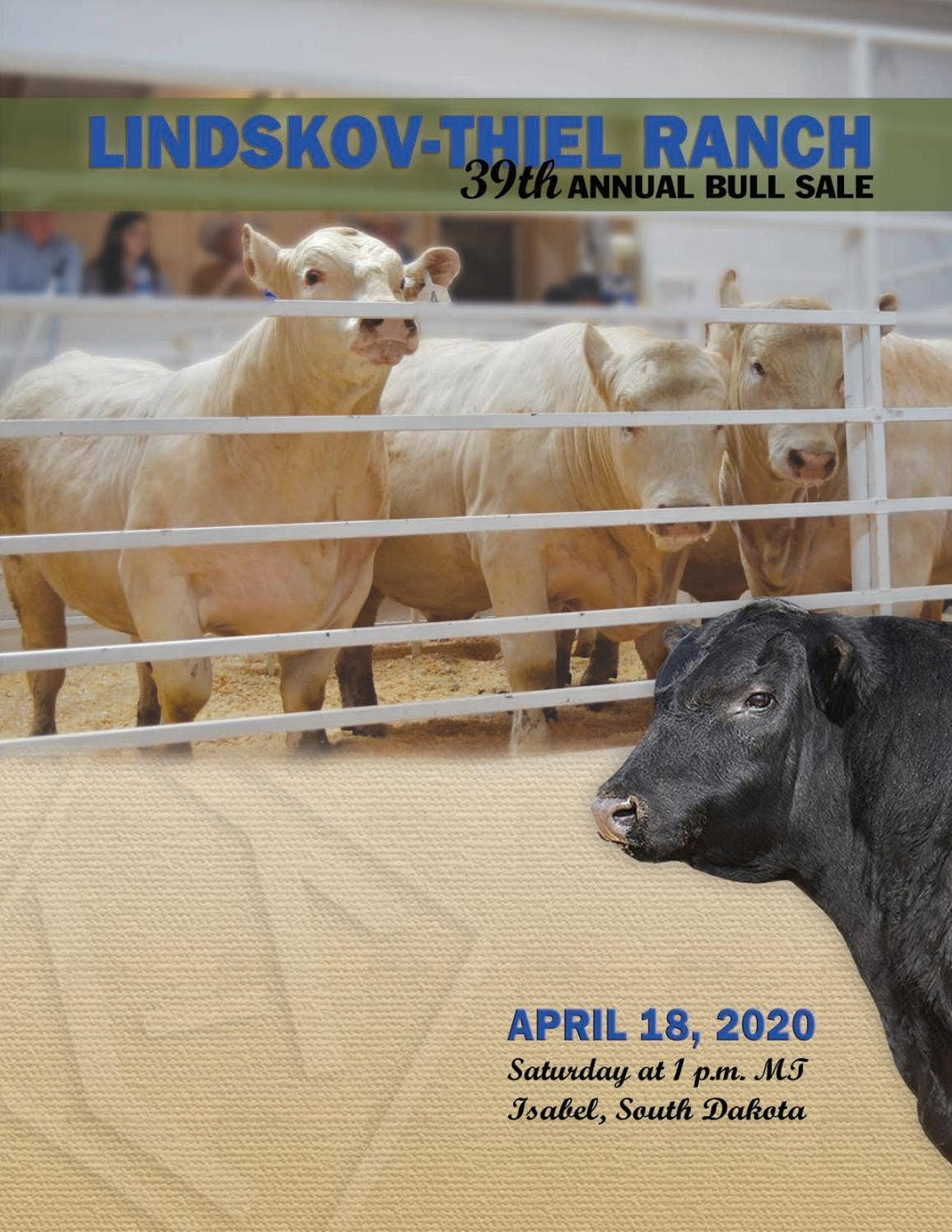 LindskovThiel Ranch 2020 Sale Catalog by LivestockDirect Issuu