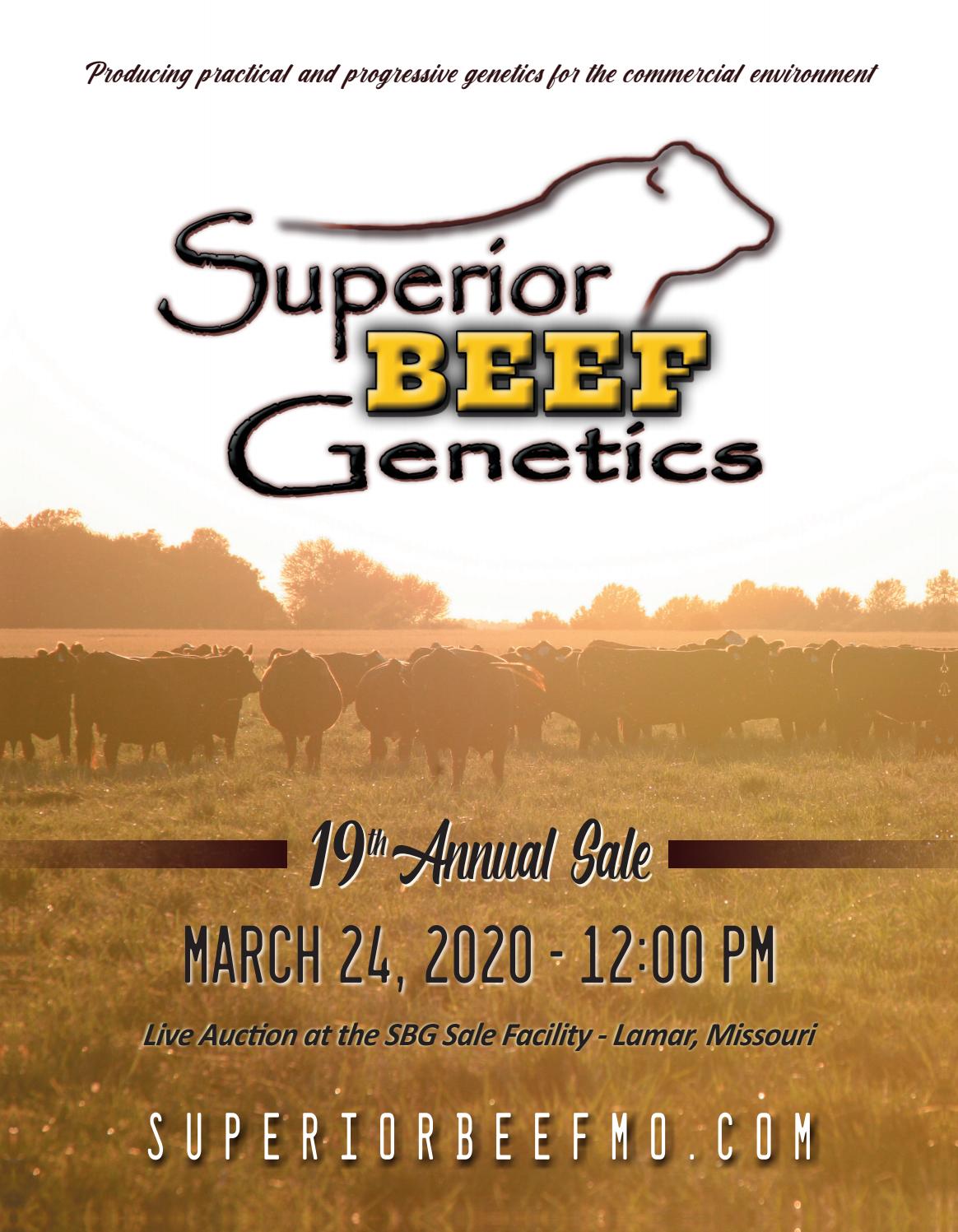2020 Superior Beef Catalog by LivestockDirect Issuu