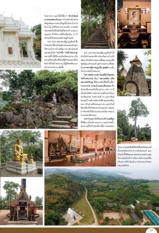 suphan63 第 17 页