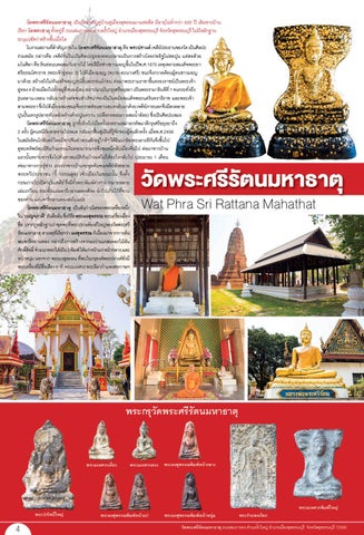 suphan63 第 4 页