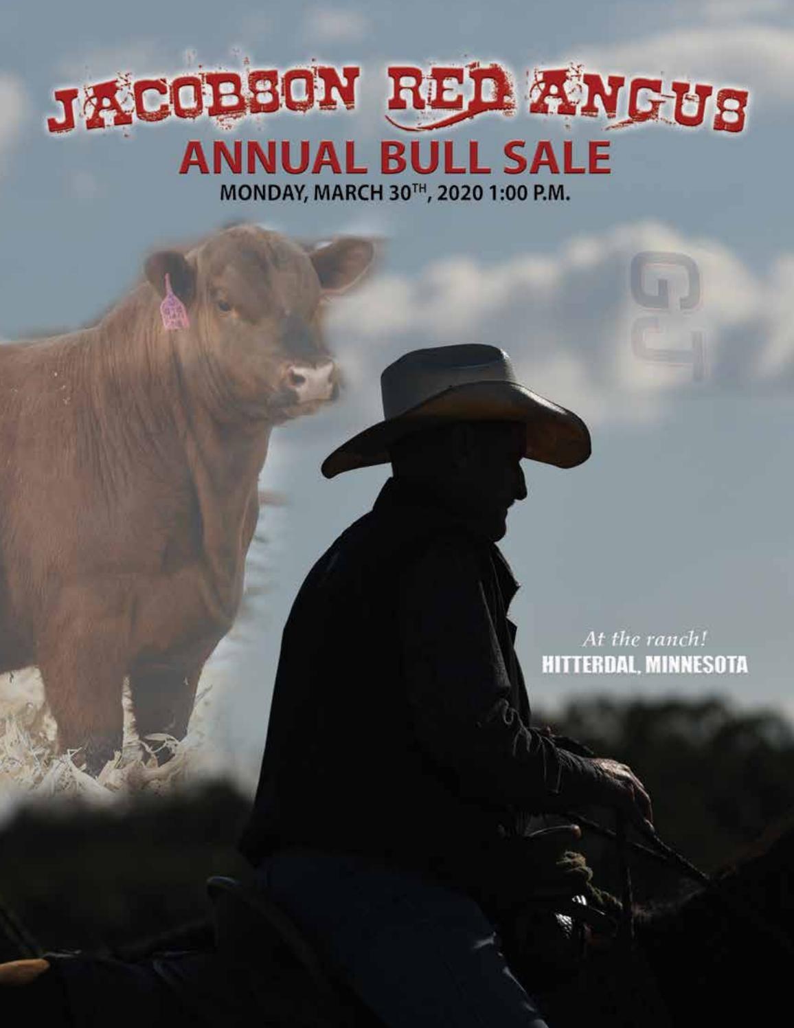 Jacobson 2020 Annual Bull Sale Catalog by msn5454 Issuu