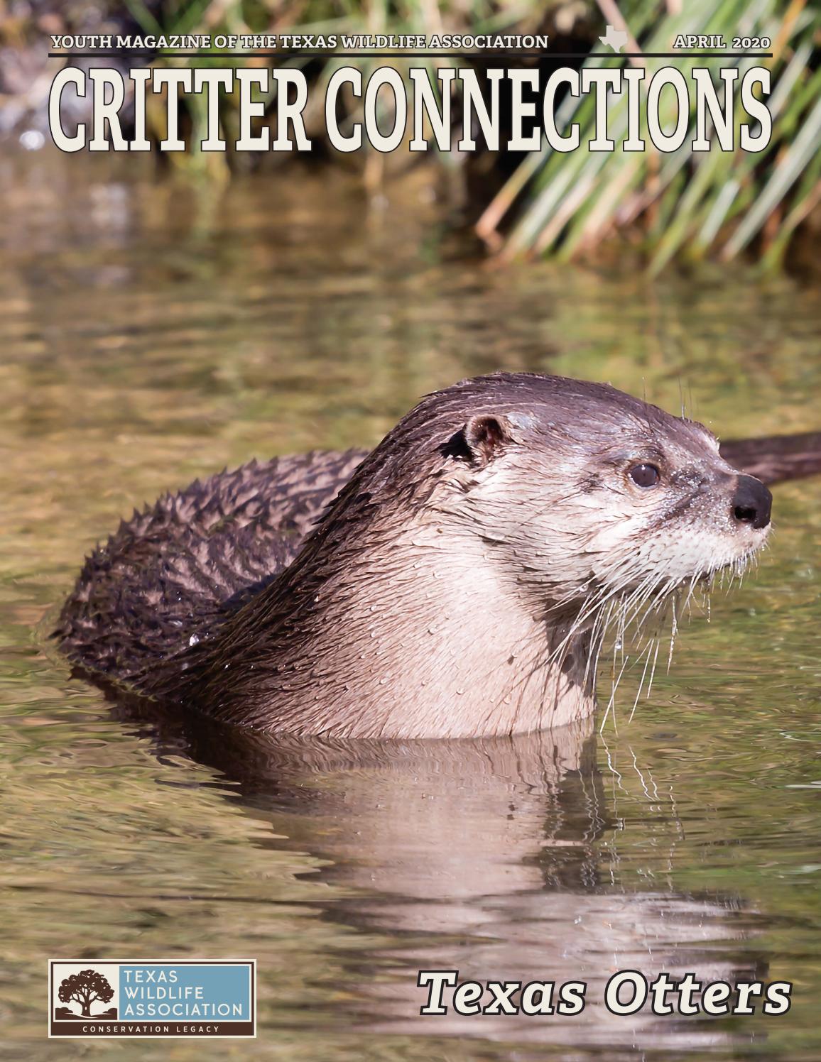 Critter Connections April 2020 - Texas Otters by Texas Wildlife