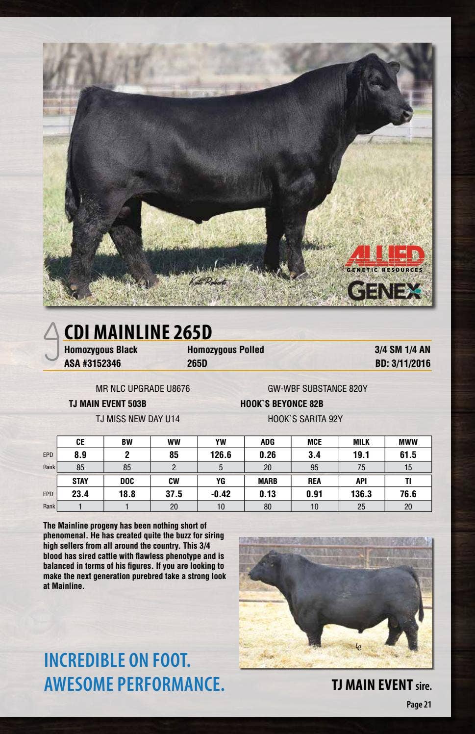 2020 Triangle J Ranch Semen Guide by Julie Murnin - Issuu