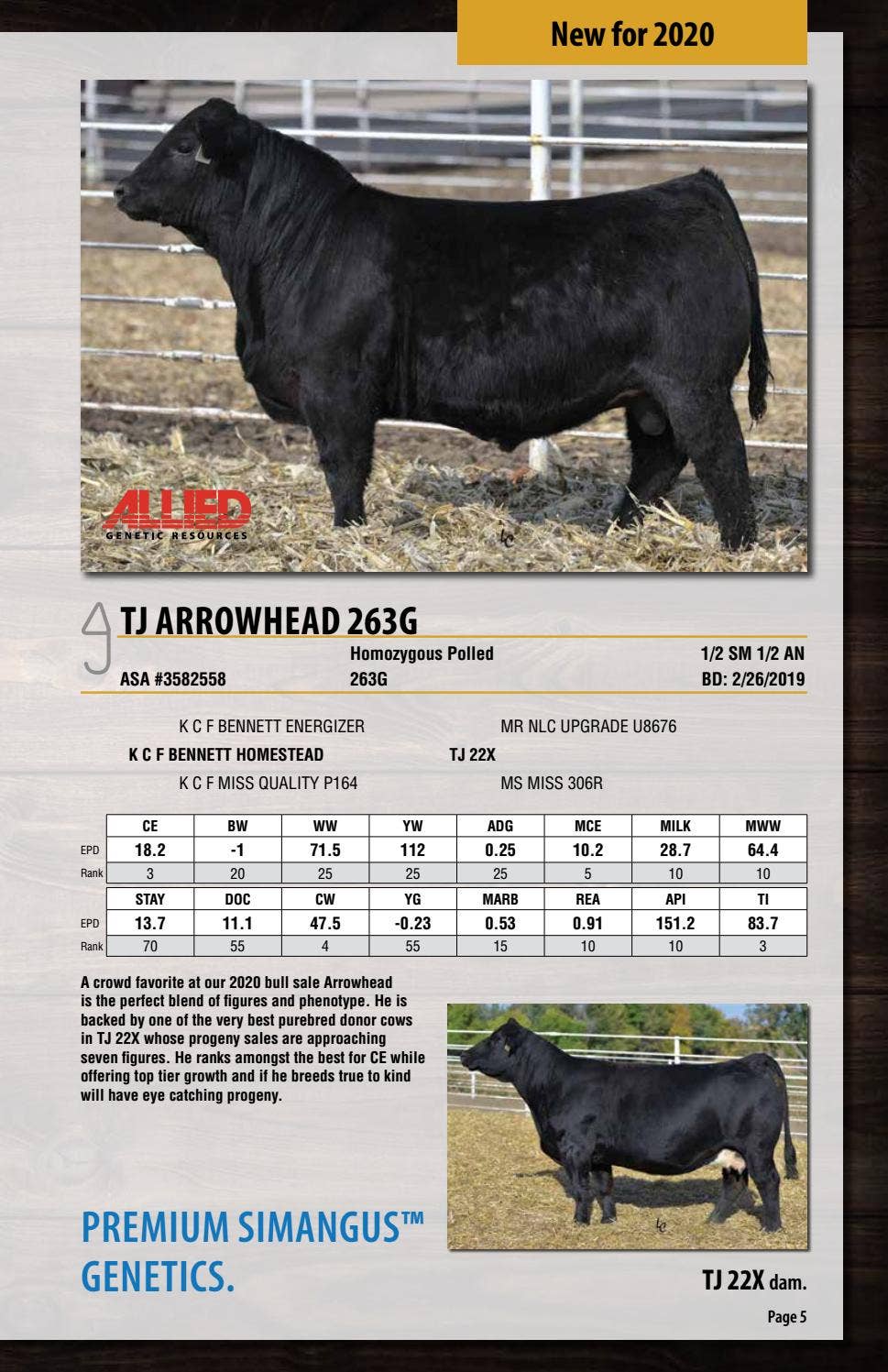 2020 Triangle J Ranch Semen Guide by Julie Murnin - Issuu