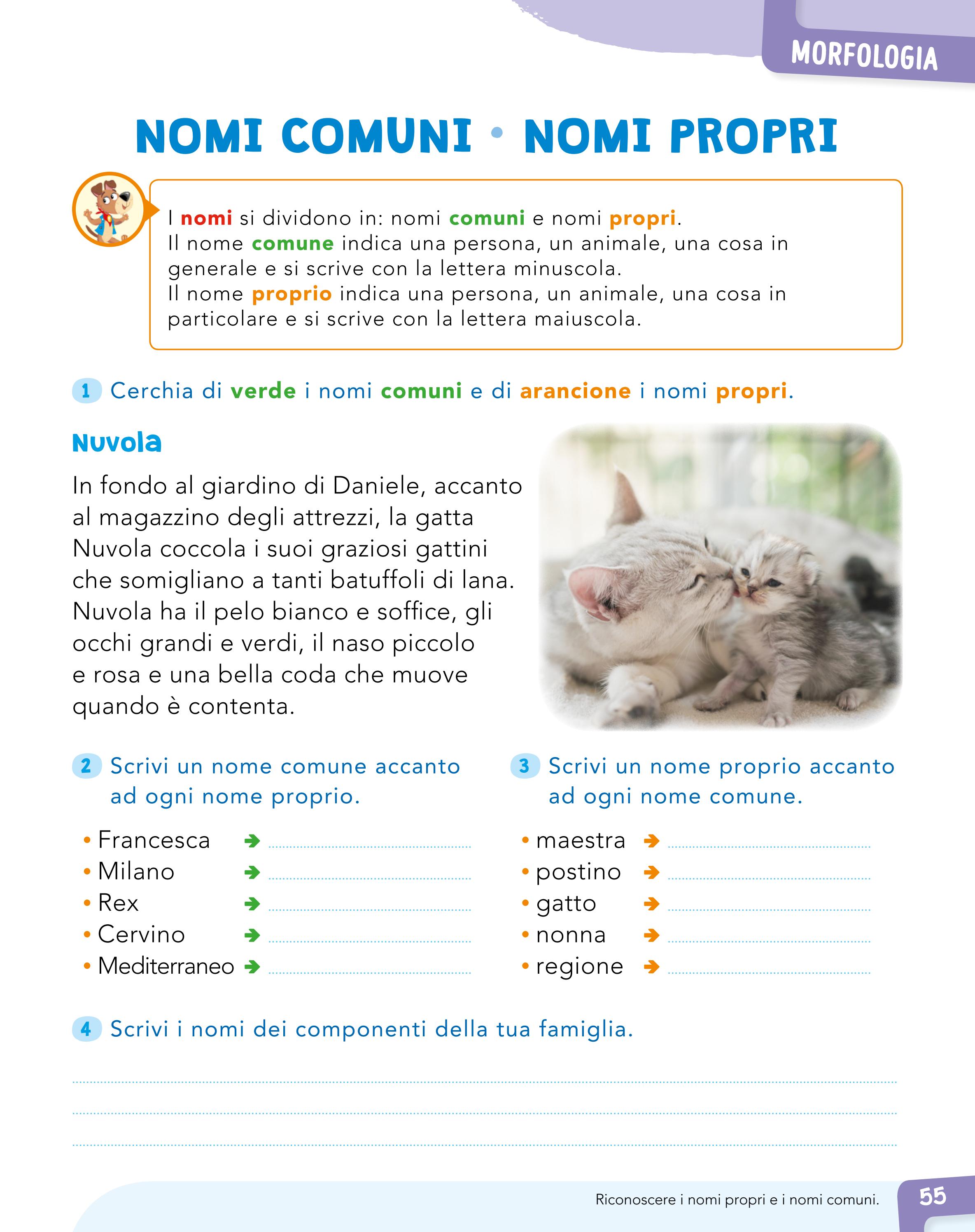 Issuu To Pdf Download Tool