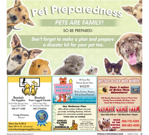 Special Sections - Peninsula Emergency Preparedness 指南 2020 第 19 页