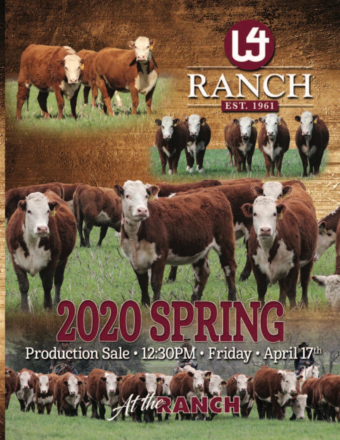 2020 W4 Ranch Sale Catalog by Ranch House Designs Issuu