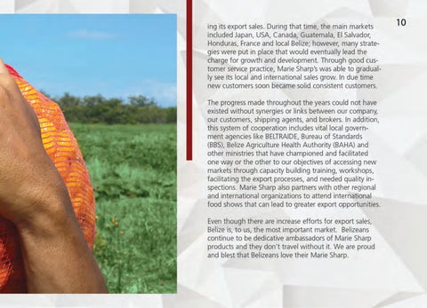Made In Belize Product 灯饰目录 第 11 页