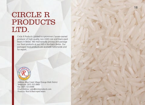 Made In Belize Product 灯饰目录 第 19 页
