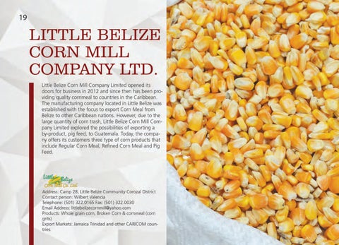 Made In Belize Product 灯饰目录 第 20 页