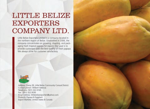 Made In Belize Product 灯饰目录 第 21 页