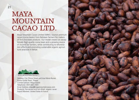 Made In Belize Product 灯饰目录 第 22 页