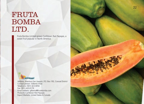 Made In Belize Product 灯饰目录 第 23 页