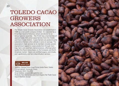Made In Belize Product 灯饰目录 第 24 页