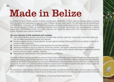 Made In Belize Product 灯饰目录 第 2 页