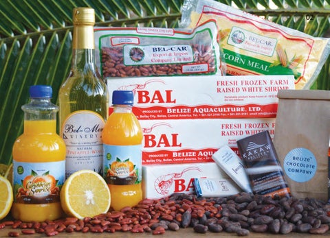 Made In Belize Product 灯饰目录 第 3 页