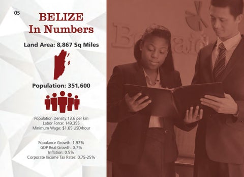 Made In Belize Product 灯饰目录 第 6 页