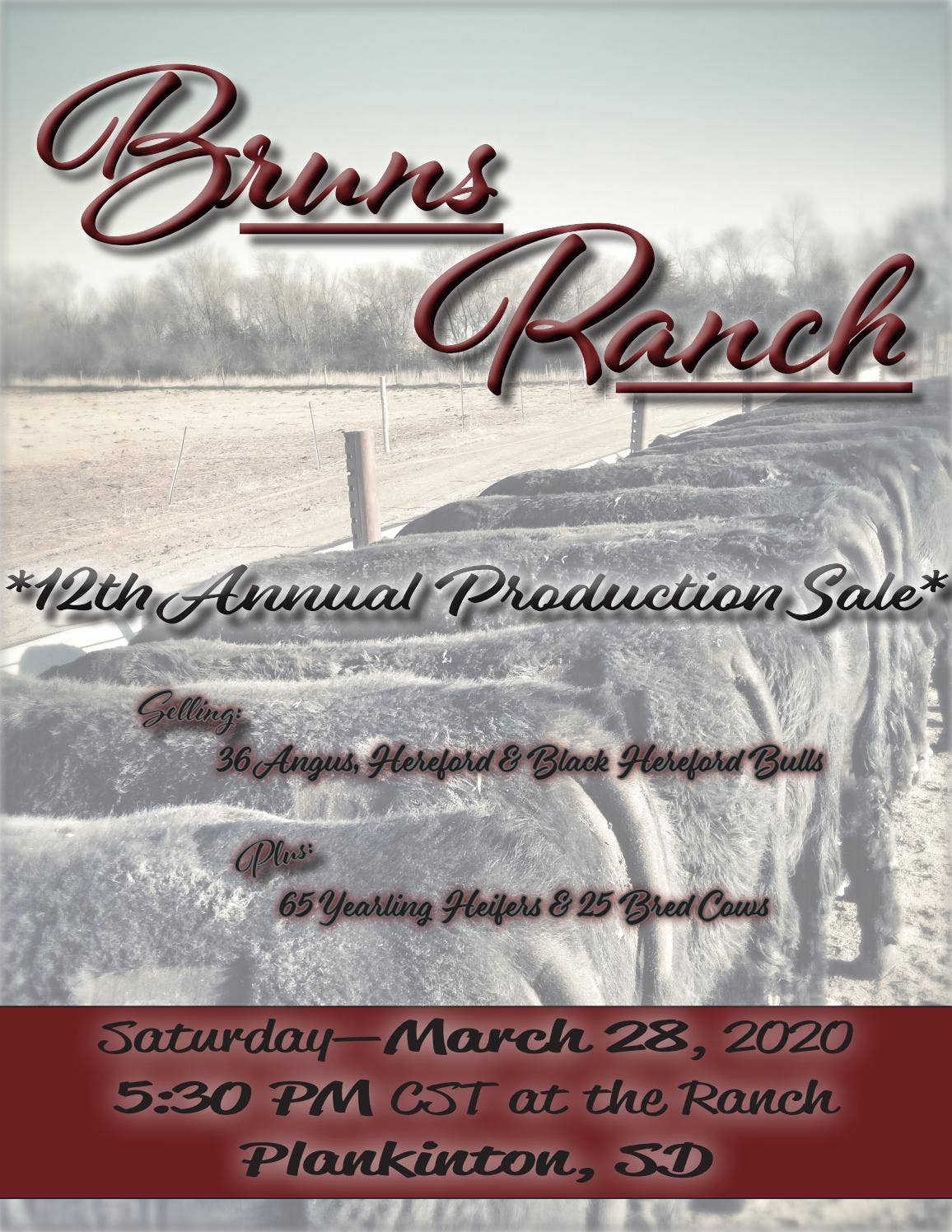 2020 Bruns Ranch Sale Catalog by Kama Bruns Issuu