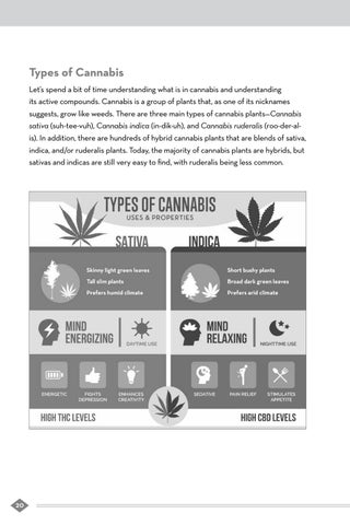 The Essential Cannabis Journal ( 预览 ) 第 22 页