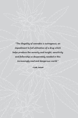 The Essential Cannabis Journal ( 预览 ) 第 6 页