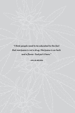 The Essential Cannabis Journal ( 预览 ) 第 8 页
