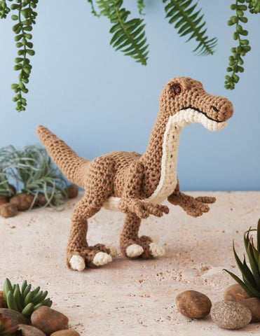 Dinosaurs to Crochet ( 预览 ) 第 22 页