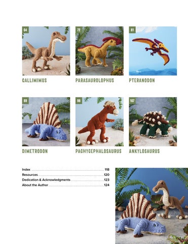 Dinosaurs to Crochet ( 预览 ) 第 3 页