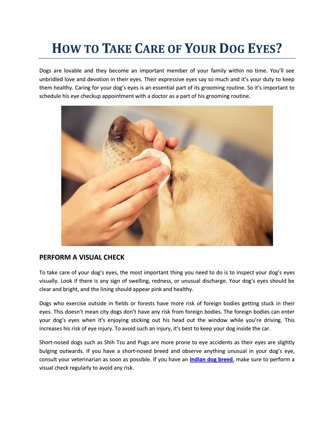 How to Take Care of Your Dog Eyes? by DogExpress Issuu