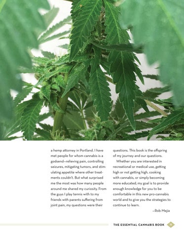 The Essential Cannabis 册 ( 预览 ) 第 12 页