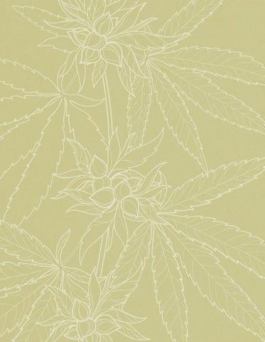 The Essential Cannabis 册 ( 预览 ) 第 9 页