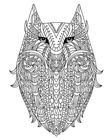 Faces of the Wild ( 预览 ) 第 11 页