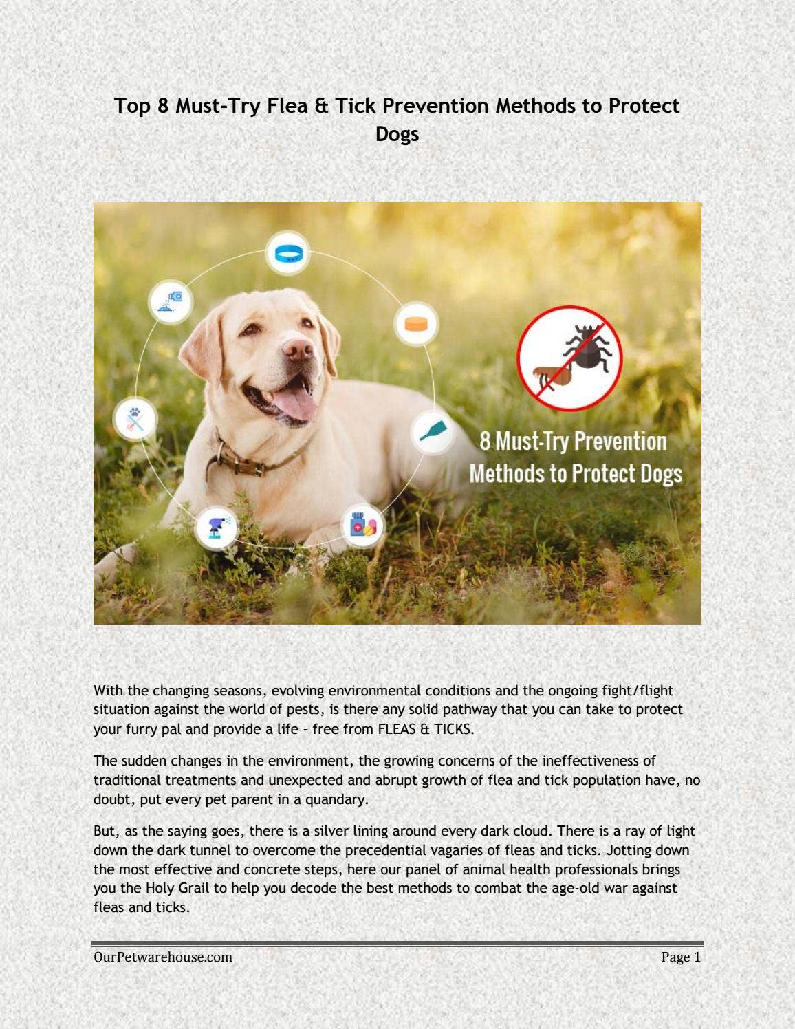 Picture of Top 8 Must-Try Flea & Tick Prevention Methods to Protect Dogs by ...